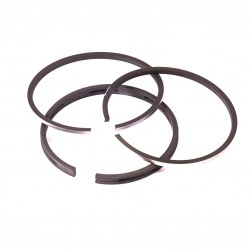 ΕΛΑΤΗΡΙΑ ΠΙΣΤΟΝΙΟΥ ΓΙΑ BRIGGS & STRATTON (60.32mm) 295657 294232