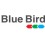 BLUE BIRD - ZANE